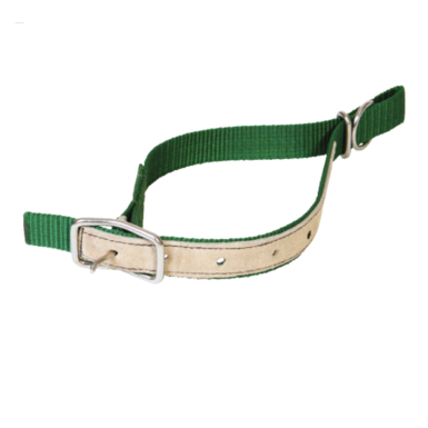 horizont Nylon neck strap for sheep | leather reinforced | green