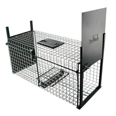 BoxTrap live trap with 2 sliding doors (50 cm x 20 cm x 20 cm)