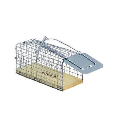 KLAKTRAP live trap for mice with wooden bottom (12 cm x 5,5 cm x 6 cm)