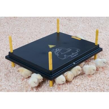 Hot plate for chicks | 50 Watt | 40 cm x 50 cm