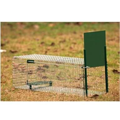 BoxTrap live trap with sliding door for rats (62 cm x 21 cm x 21 cm)