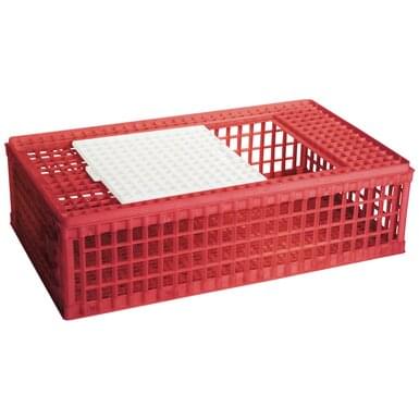 Poultry transport box (28 cm) | 2 doors | plastic