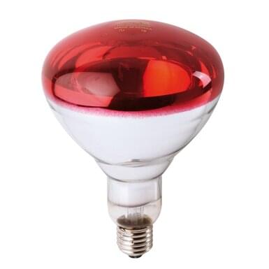 PHILIPS Infrared lamp 250 W | red (10 pieces in carton)