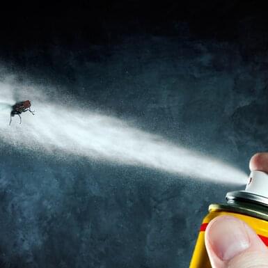 Mosquito repellent & insect spray