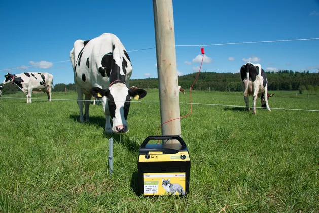 Animals Electric Fencing Controller Electric Fence Energizer Moulde 10KM Helper 