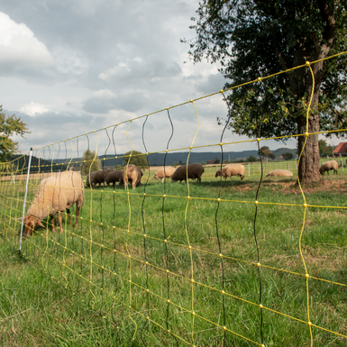 Electronic nets for sheep