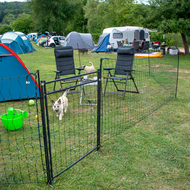 Camping fence