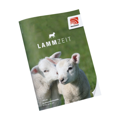 LammZeit | Documentation aid for sheep farming