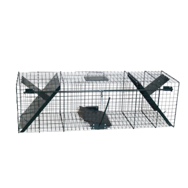 Live trap for raccoons, foxes and martens | 2 doors | 100 x 30 x 30 cm