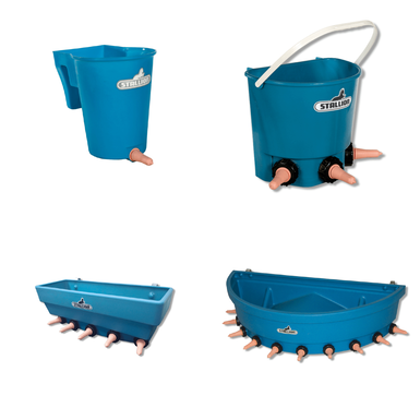 STALLION calf feeder tub without portioning