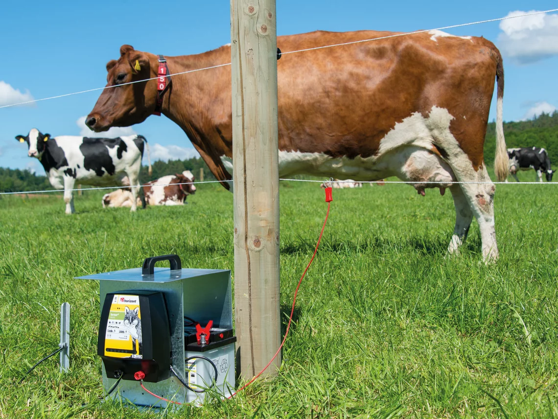 electric fence reel geared - LEVAH animal husbandry and veterinary