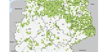 Bundesweit 184 Rudel bestätigt